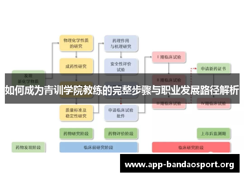 如何成为青训学院教练的完整步骤与职业发展路径解析