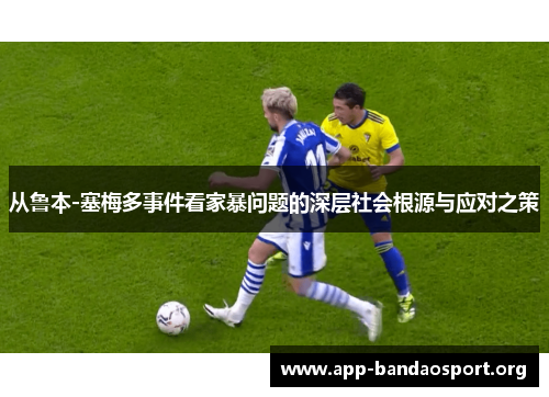 从鲁本-塞梅多事件看家暴问题的深层社会根源与应对之策