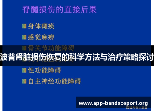 波普肾脏损伤恢复的科学方法与治疗策略探讨